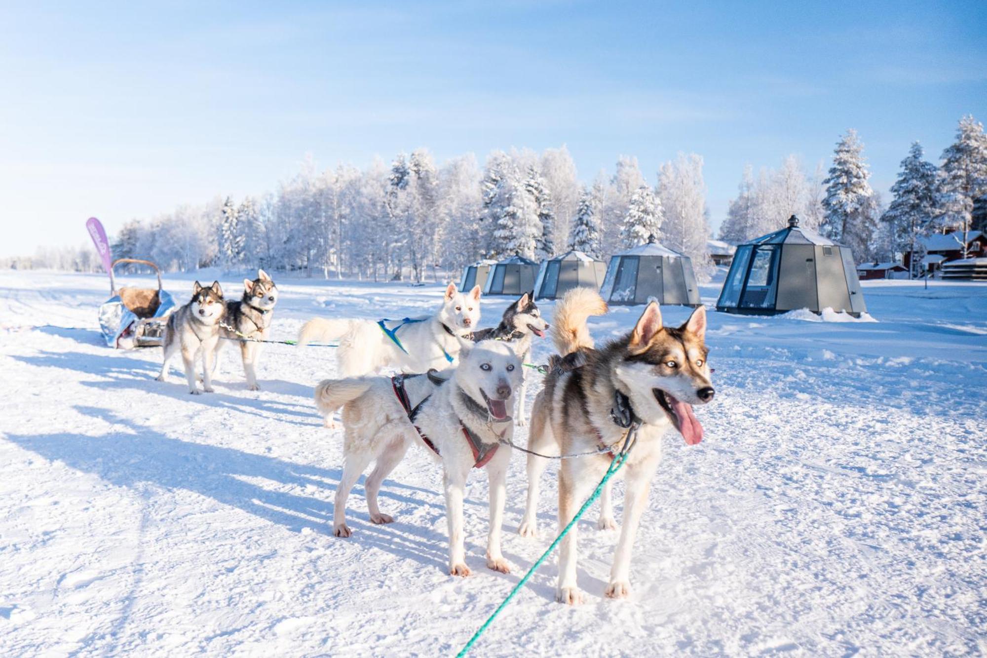 Arctic & Igloos 3* Ranua